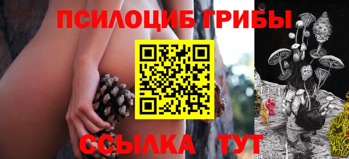 Псилоцибиновые грибы прущие грибы Ногинск